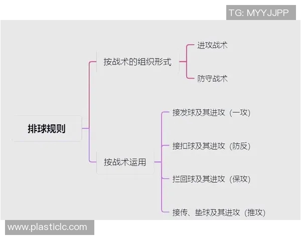 排球战术深度解析：武汉排球队的制胜秘密与训练揭秘